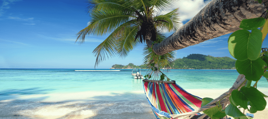 Mit Reisegeier ab in den Urlaub